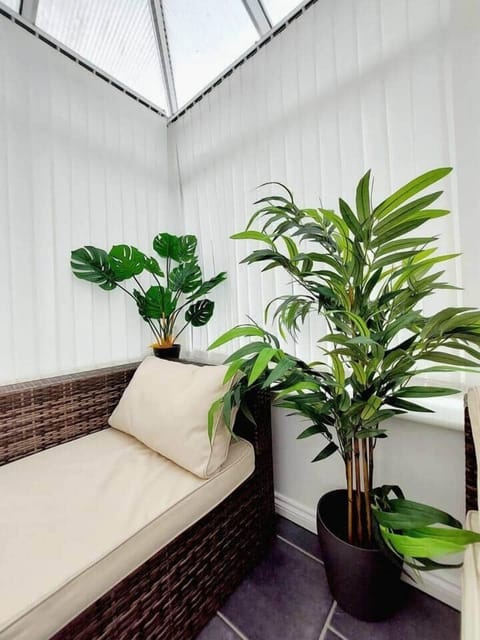 Conservatory - Plants