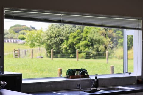 Country view from the kitchen