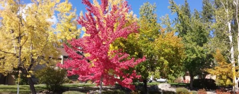 Enjoy fall foliage with less crowds!