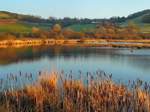 Surrounding area | Aeron Villa, Tregaron