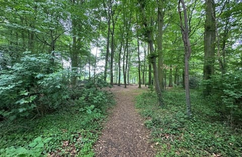 Bungalowpark Landsrade - Geschakelde Bungalow 25 - environment