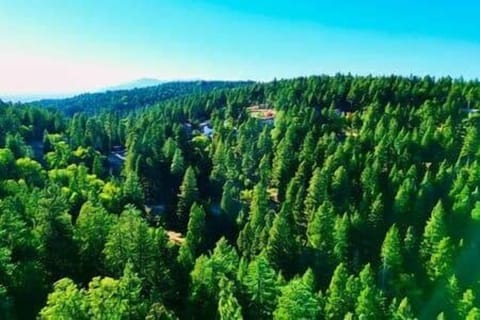 B5bd5a36 a7b7 4149 bd9e ecacd605febb