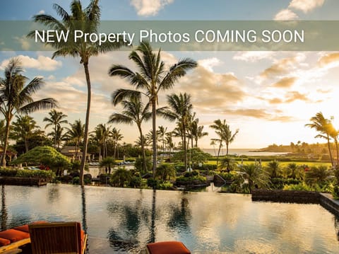 New Images Coming Soon!