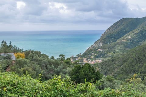 Activities, Autumn, Outdoor, Spring, Summer