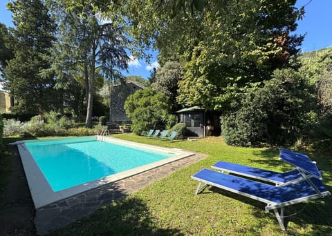 Blue, Swimming Pool, Shrub, Garden, Shade, Backyard, Resort, Estate, Landscaping, Hacienda