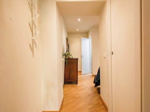 Freezing, Winter, Snow, Larch