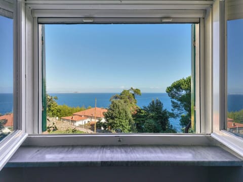 Residential Area, House, Home, Roof, Estate, Cottage, Balcony, Suburb, Garden, Village