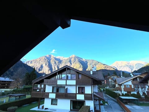 Door, Balcony, Chair, Outdoor Furniture, Yard, Driveway, Houseplant, Courtyard, Walkway, Flowerpot