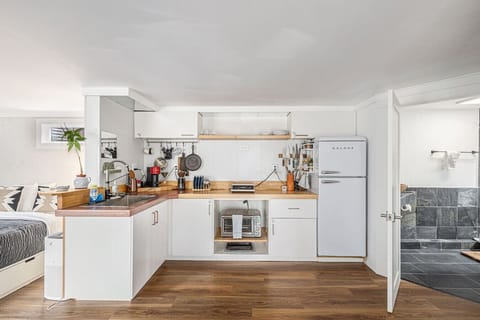 Small but mighty: retro fridge, burner, and micro oven at your service.