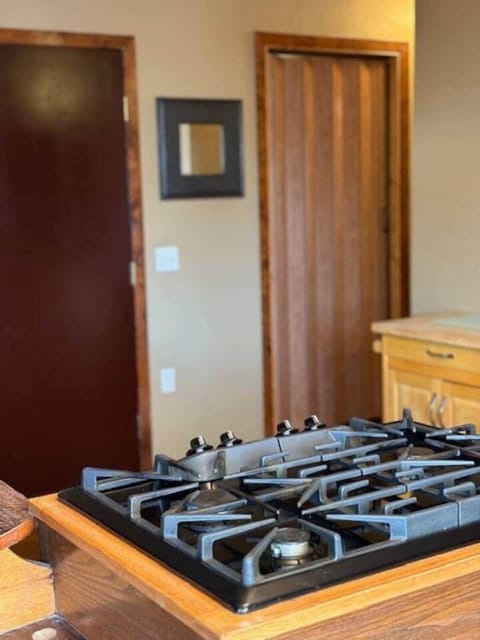 This third view of the kitchen highlights the propane stove and butcher block cabinet.