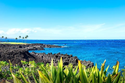 Take in sweeping ocean views from your lanai, where lava rock meets turquoise water in a classic Big Island panorama.
