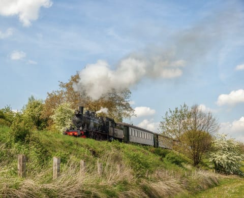 Bungalowpark Simpelveld - Alpha 63 - environment