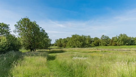 Here you are immersed in nature.