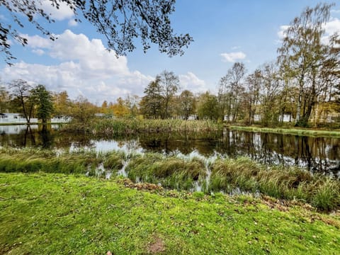 Surrounding area | Lily Pad Lodge, Brechin