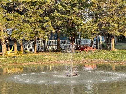Pond
