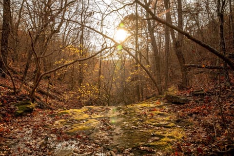 Seasonal Water Fall Next To Cottage