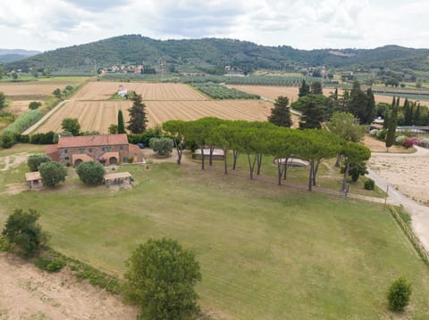 Autumn, Garden, Spring, Summer