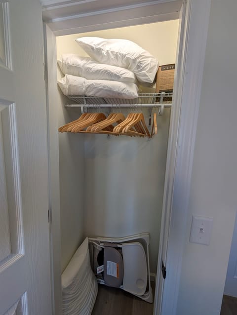 Closet in this bedroom with extra pillows, steamer and plenty of hangers