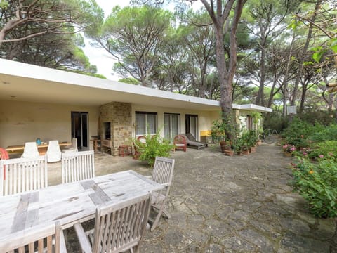 Home, Garden, Cottage, Estate, Shade, Landscaping, Yard, Backyard