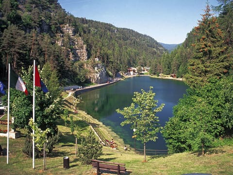 Natural Landscape, House, Rural Area, Landscape, Cottage, Bank, Lake, Forest, Reservoir