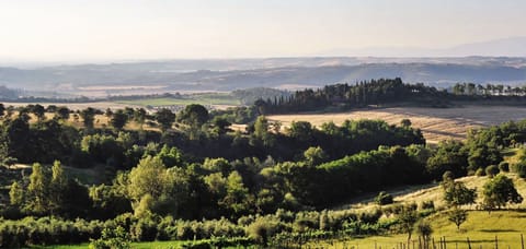 Autumn, Scenic View, Spring, Summer