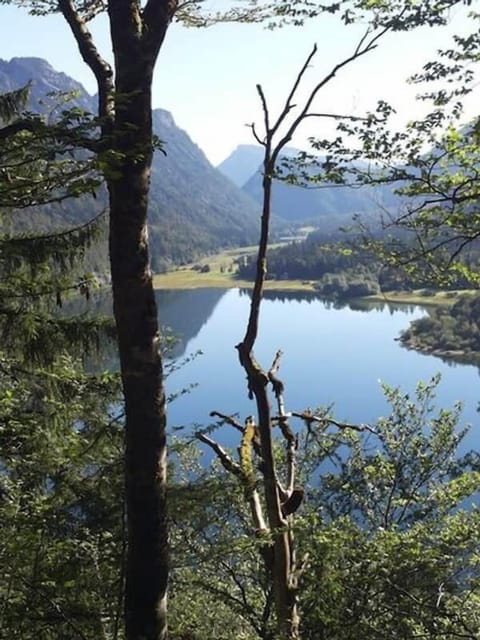 Blick auf den See