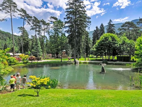 Tree, Nature, Vegetation, Natural Landscape, Landscape, Shrub, Garden, Botanical Garden, Larch, Forest