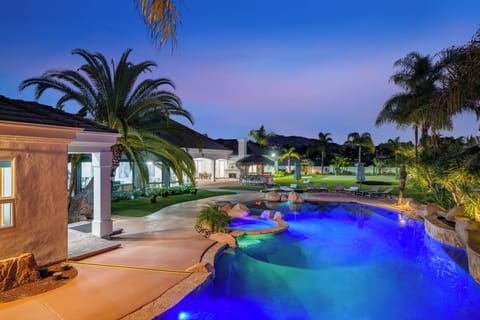 Resort‑style lagoon pool surrounded by palms and natural stone — a private Temecula oasis made for sun‑soaked relaxation.