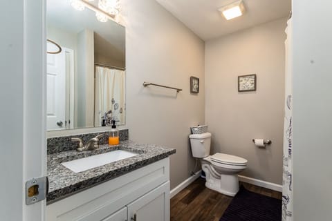 Basement Bathroom