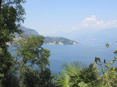 Region [summer] (>5 km)