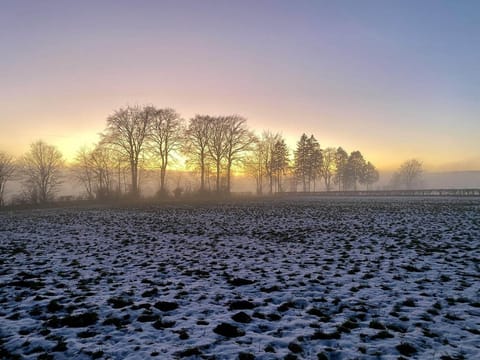 Region [summer] (>5 km)