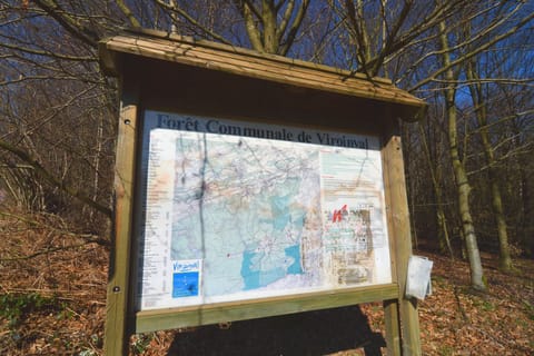 Immediate Surroundings [summer] (<1 km)