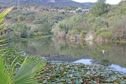 Immediate Surroundings [summer] (<1 km)