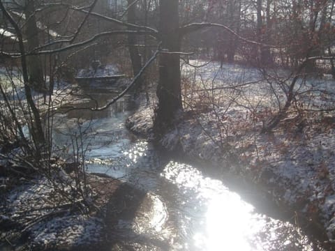 Region [summer] (>5 km)