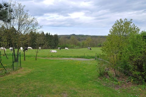 View from Holiday Home [summer]