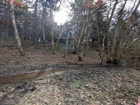 Region [summer] (>5 km)