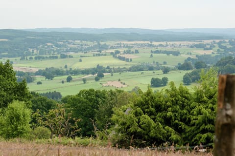Surroundings [summer] (1-5 km)