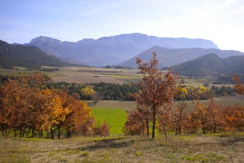 Immediate Surroundings [summer] (<1 km)