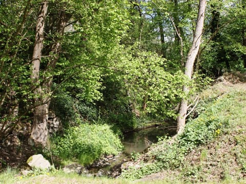 Immediate Surroundings [summer] (<1 km)