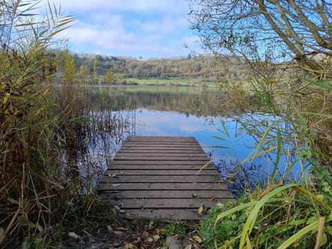 Region [summer] (>5 km)