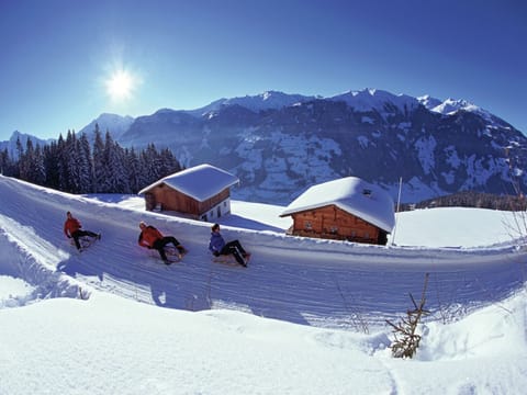 Snow and ski sports