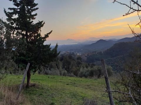 Surroundings [summer] (1-5 km)