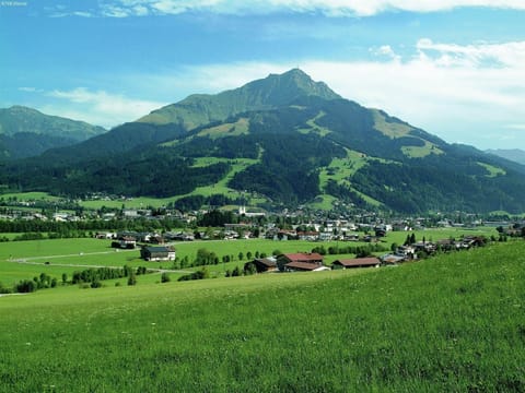 Region [summer] (>5 km)