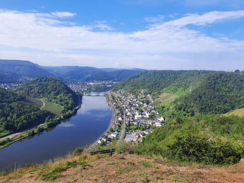 Region [summer] (>5 km)