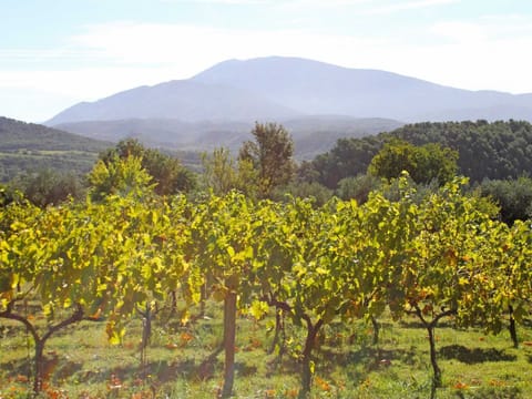 View from Holiday Home [summer]
