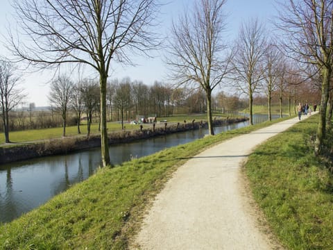 Region [summer] (>5 km)