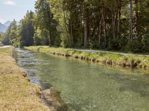 Region [summer] (>5 km)