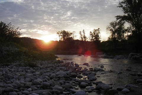 Immediate Surroundings [summer] (<1 km)