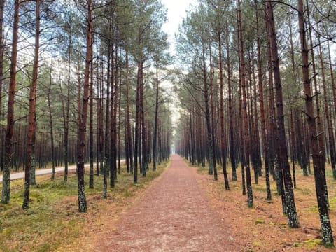 Surroundings [summer] (1-5 km)