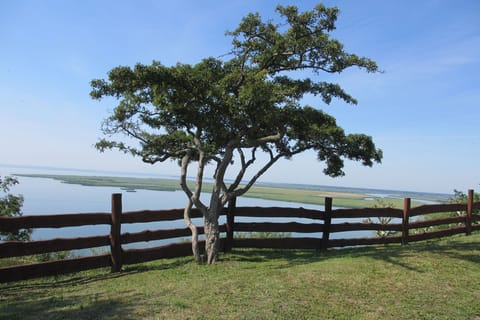 View from Holiday Home [summer]